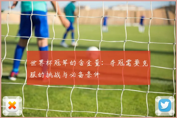世界杯冠军的含金量：夺冠需要克服的挑战与必备条件